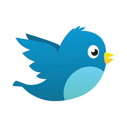 Social media blue bird