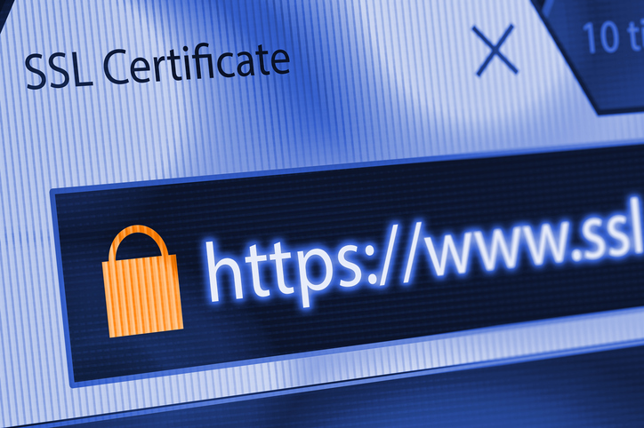 Close-up of a browser window showing lock icon during SSL connection